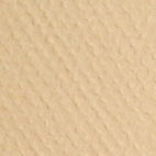 Sandstone GSRM1061 PP 1 5190