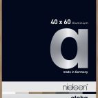 Frames 1646514 NIEL