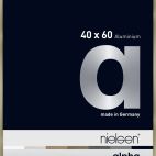 Frames 1646225 NIEL
