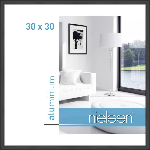 Frames 33321 NIEL
