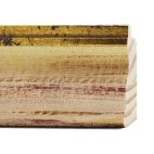 Rainbow Wit Gouden Lip 64mm 84415 G30 1 36671