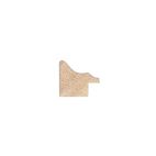 SCHELP GOUD GEPATINEERD 25x24 43080 D21 1 38611