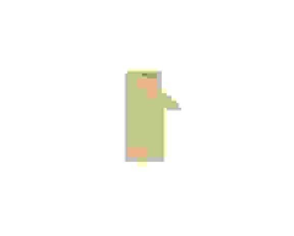 74555 2 74555 P03 1 36695