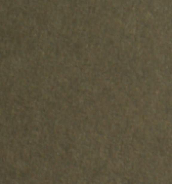 Dark Olive Black Core BLACK CORE 61032 PP 1 37646