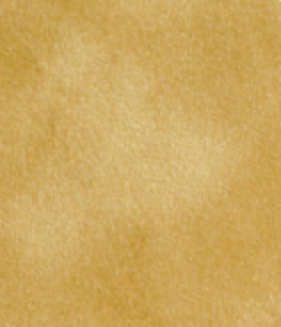 Thicket CS5515 PP 1 38800
