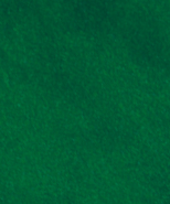 Treeline CS5500 PP 1 38819