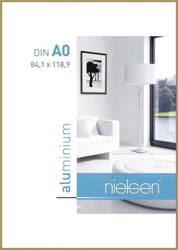 Frames 39901 NIEL