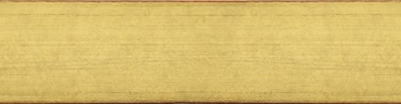 Lists 81880 E31