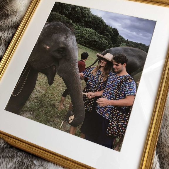 220 DE680 D483 40 C6 98 B6 5594 FCE61 F0 F