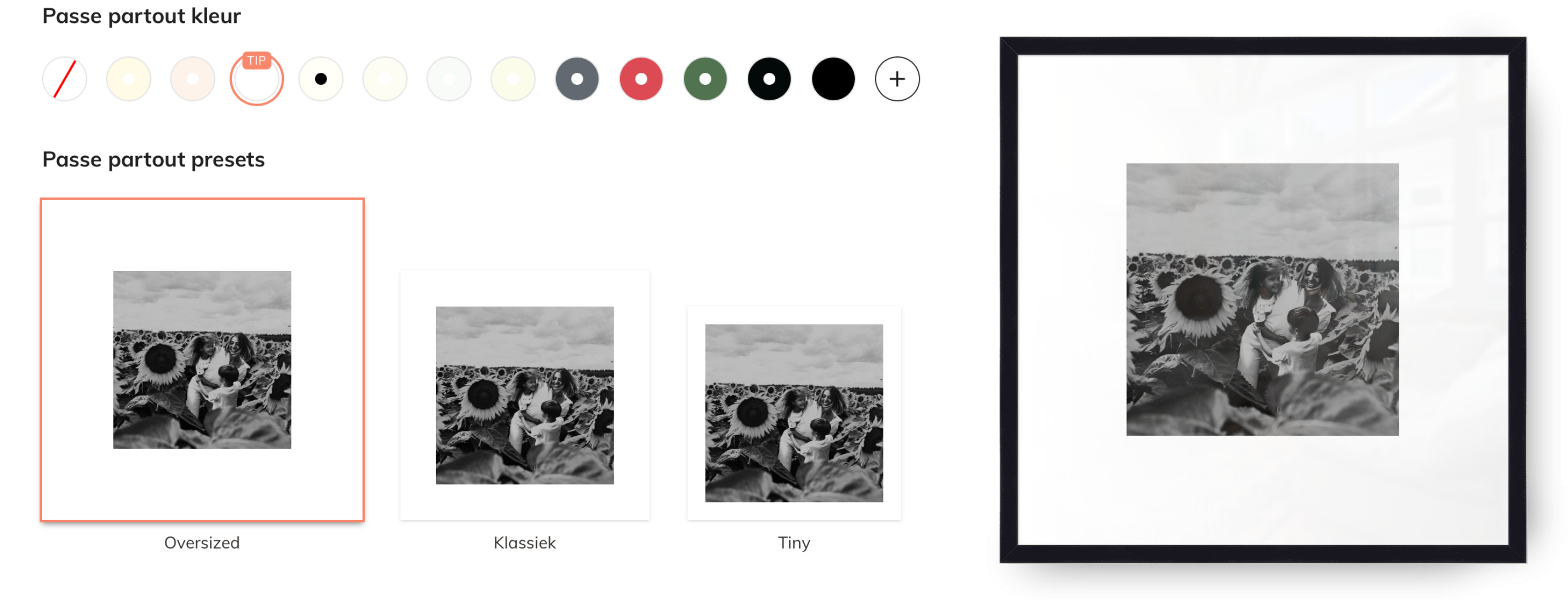 Passe-partout grootte